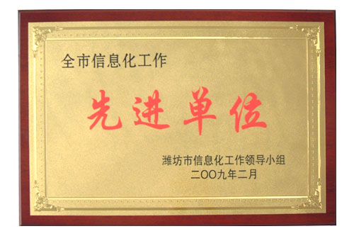 我司荣获“全市信息化工作先进单位”