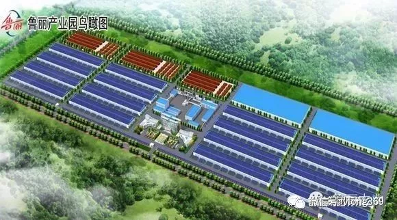 热烈祝贺威龙VIP客户鲁丽木业首次登陆央视平台