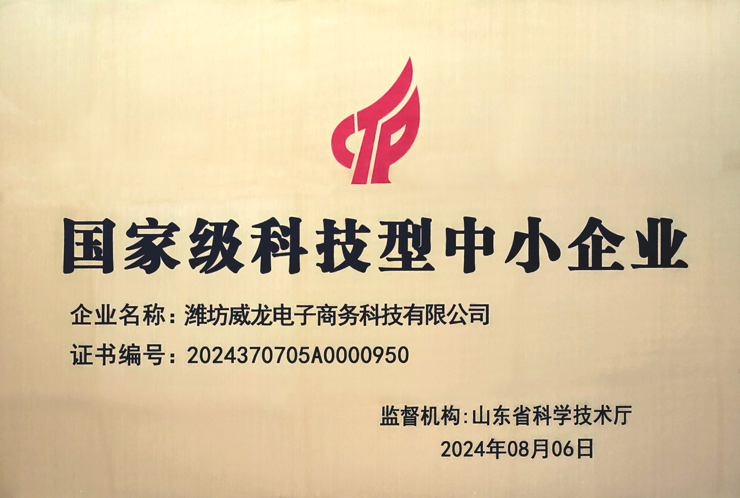 国家级科技型中小企业