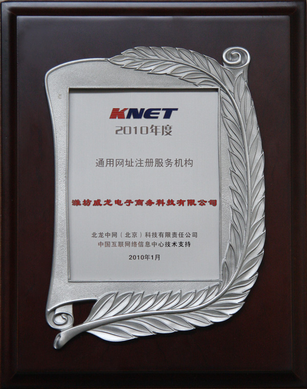 CNNIC通址认证注册服务机构（2010）